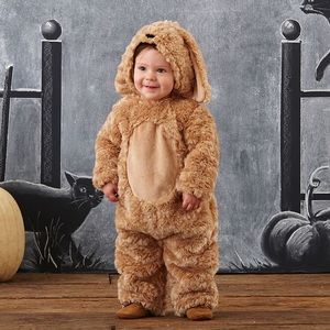 Pottery Barn Kids Dog Halloween Costume